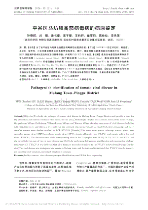 平谷區(qū)馬坊鎮(zhèn)番茄病毒病的病原鑒定.pdf
