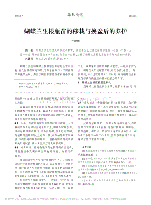 蝴蝶蘭生根瓶苗的移栽與換盆后的養(yǎng)護(hù)_任武婷.pdf