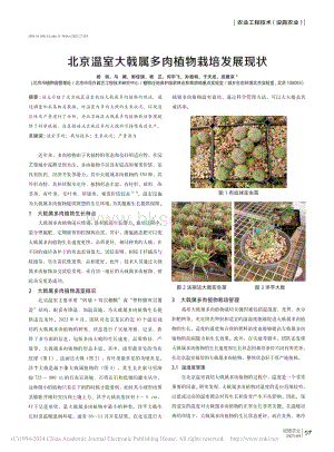 北京溫室大戟屬多肉植物栽培發(fā)展現(xiàn)狀.pdf