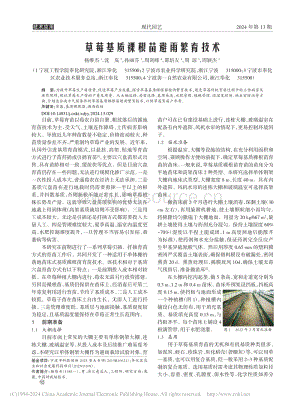 草莓基質(zhì)裸根苗避雨繁育技術(shù)_楊維杰.pdf