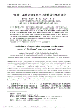 紅顏草莓短縮莖再生及遺傳轉(zhuǎn)化體系建立_甘珂珂.pdf
