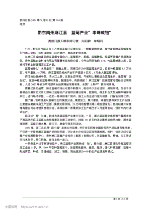 黔東南州麻江縣藍(lán)莓產(chǎn)業(yè)“串珠成鏈”.pdf
