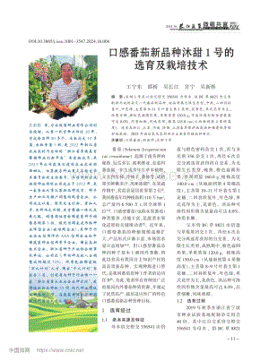口感番茄新品種沐甜1號(hào)的選育及栽培技術(shù).pdf