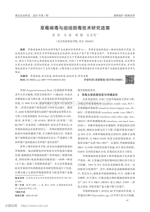草莓病毒與組培脫毒技術研究進展.pdf