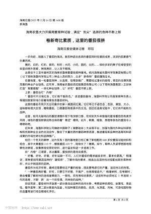卷新奇比素質(zhì)這里的番茄很拼_海南日報(bào)全媒體記者_(dá)鄧鈺.pdf
