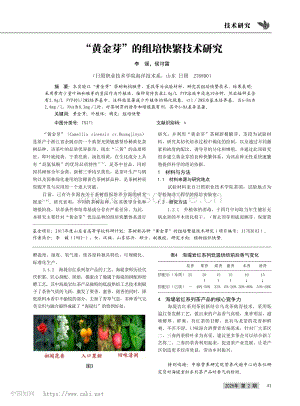 “黃金芽”的組培快繁技術研究_李媛.pdf
