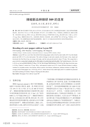 辣椒新品種辣研509的選育.pdf