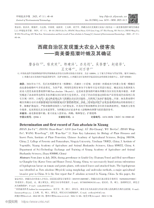 西藏自治區(qū)發(fā)現(xiàn)重大農(nóng)業(yè)入侵害蟲(chóng)——南美番茄潛葉蛾及其確證.pdf