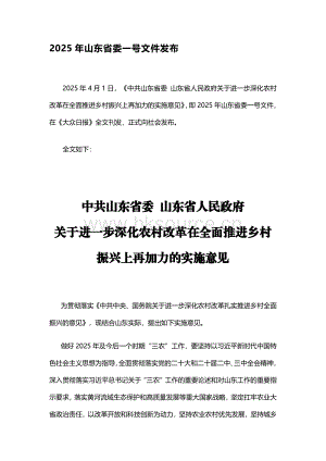 2025年山東省委一號文件發(fā)布.pdf