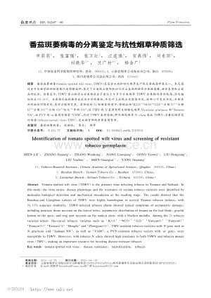 番茄斑萎病毒的分離鑒定與抗性煙草種質(zhì)篩選.pdf