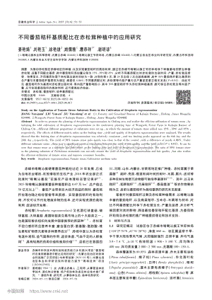 不同番茄秸稈基質(zhì)配比在赤松茸種植中的應(yīng)用研究.pdf