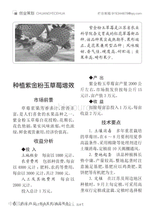 種植紫金粉玉草莓增效.pdf