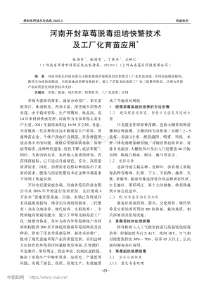 河南開封草莓脫毒組培快繁技術(shù)及工廠化育苗應(yīng)用.pdf