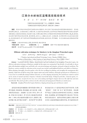 江淮分水嶺地區(qū)藍(lán)莓高效栽培技術(shù)_李斐.pdf