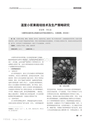 溫室小漿果栽培技術(shù)及生產(chǎn)策略研究_崔家維.pdf