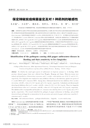 保定辣椒炭疽病菌鑒定及對5種藥劑的敏感性.pdf