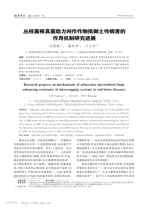 叢枝菌根真菌助力間作作物抵御土傳病害的作用機制研究進(jìn)展.pdf