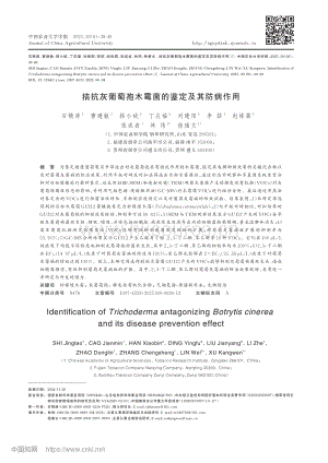 拮抗灰葡萄孢木霉菌的鑒定及其防病作用.pdf