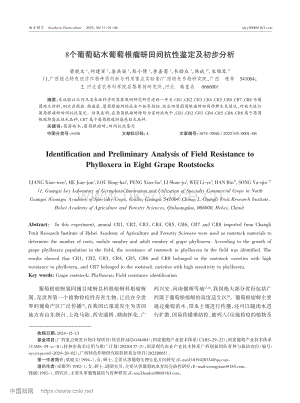 8個(gè)葡萄砧木葡萄根瘤蚜田間抗性鑒定及初步分析.pdf