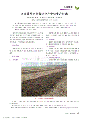 河南葡萄避雨栽培全產(chǎn)業(yè)鏈生產(chǎn)技術(shù).pdf