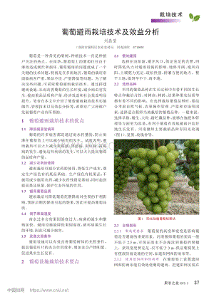 葡萄避雨栽培技術(shù)及效益分析.pdf