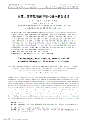 百花山葡萄組培苗與馴化植株表型特征.pdf