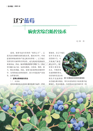 遼寧藍(lán)莓病蟲害綜合防控技術(shù)_林杉.pdf
