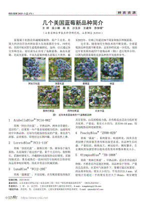 幾個美國藍莓新品種簡介_王婷.pdf
