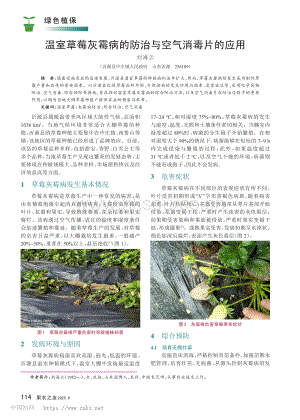 溫室草莓灰霉病的防治與空氣消毒片的應(yīng)用.pdf