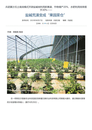 鹽堿荒漠變成“果園菜倉(cāng)”.pdf