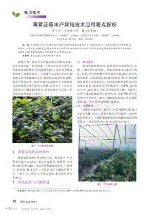 薄霧藍(lán)莓豐產(chǎn)栽培技術(shù)應(yīng)用要點(diǎn)探析_李士會(huì).pdf
