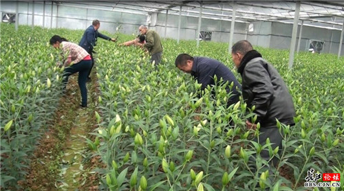 點(diǎn)擊查看高清原圖 點(diǎn)擊查看高清原圖