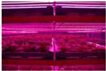 clip_image004.png