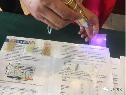 添加稀土轉(zhuǎn)光助劑的轉(zhuǎn)光膜效果演示.jpg