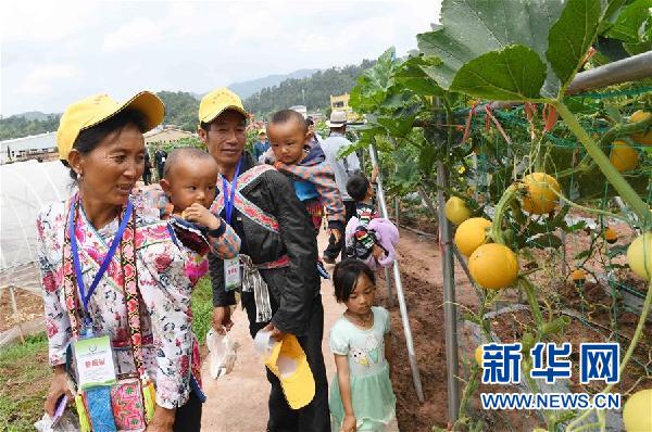 中國云南蔬菜種業(yè)博覽會在武定舉行2.jpg