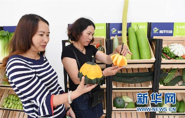 中國云南蔬菜種業(yè)博覽會在武定舉行1.jpg