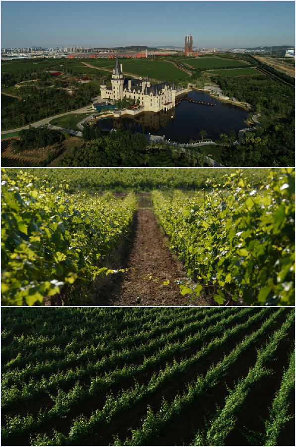 煙臺張裕葡萄酒基地(拼圖).jpg