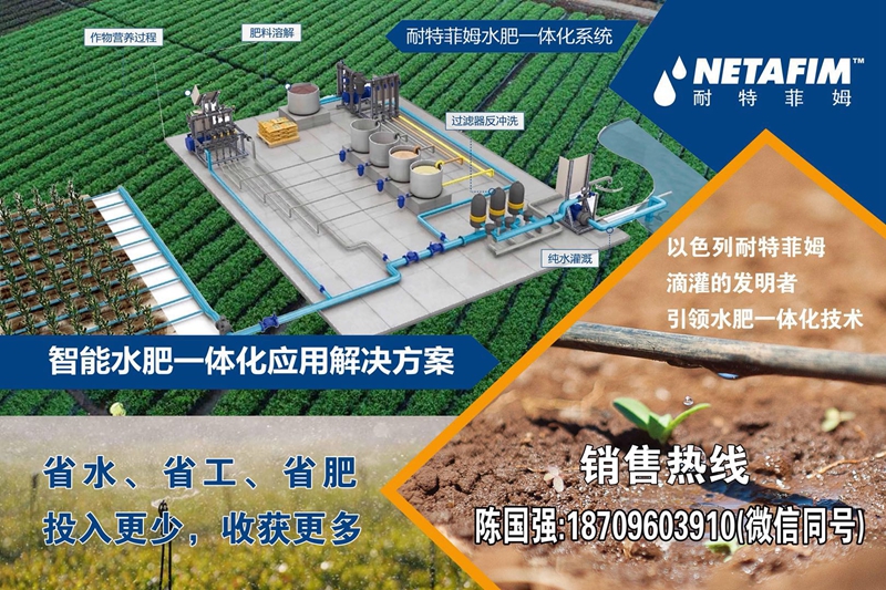 耐特菲姆廣告_副本.jpg