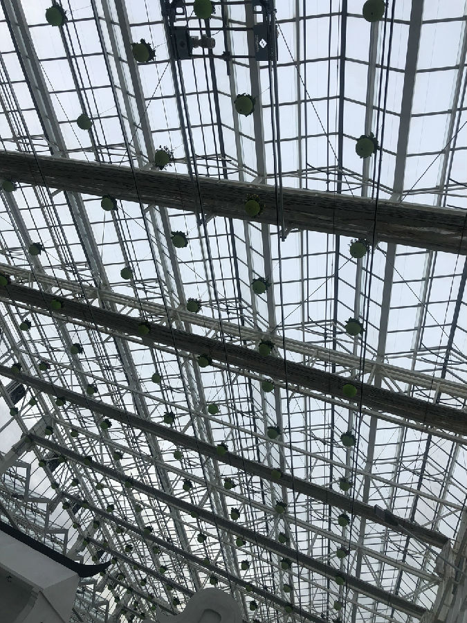 QQ圖片20181210130256.jpg