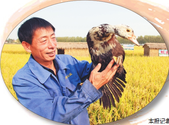 黑龍江農(nóng)業(yè)_三減_推動(dòng)綠色生產(chǎn).jpg