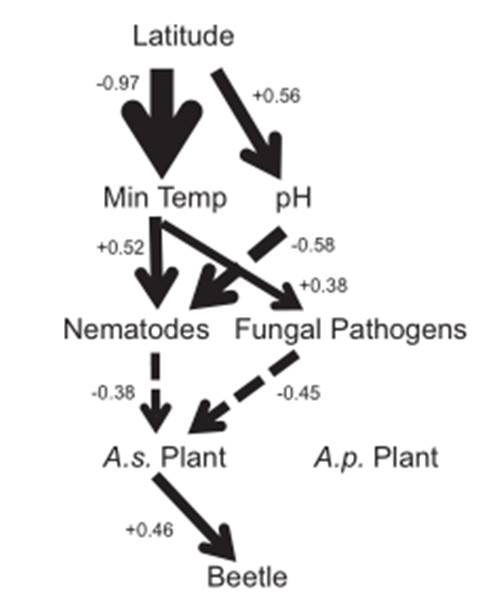 武漢植物園在植物入侵與土壤微生物緯度梯度格局研究中獲進(jìn)展.jpg