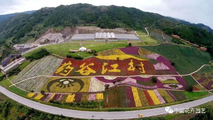 8貴州麻江品菊季旅游.jpg