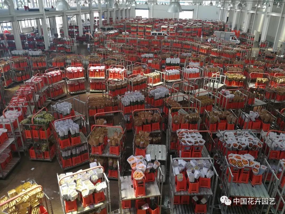 14鮮切花等待拍賣.jpg