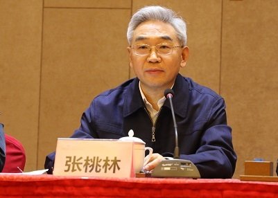 張?zhí)伊?jpg