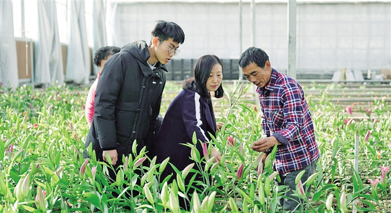 小花卉帶動(dòng)杭錦后旗綠色種植2.jpg