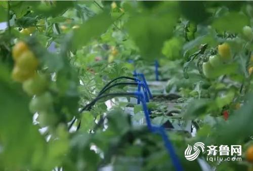 6917fa56c060d59663bc2d65dc74a0d7.jpg 微信圖片_20190331173818_conew1.jpg