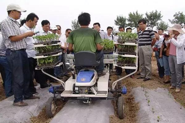 蔬菜定植機械化3.jpg