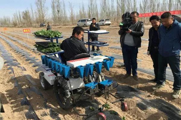 蔬菜定植機械化1.jpg