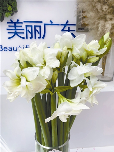 侯爵.jpg