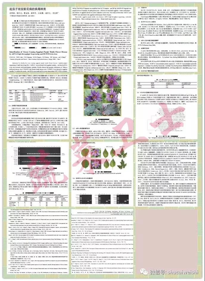 期刊發(fā)表論文界面.jpg